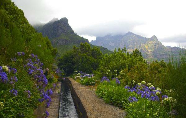 Machico Nature Exteriér fotografie